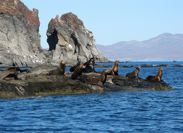 Turs y Actividades Isla Coronado Baja California Sur