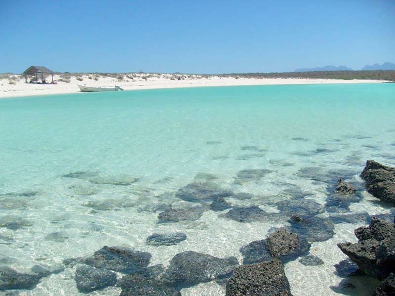 Turs y Actividades Isla Coronado Baja California Sur