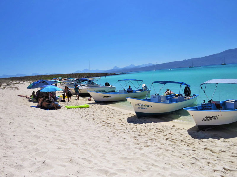 Turs y Actividades Isla Coronado Baja California Sur