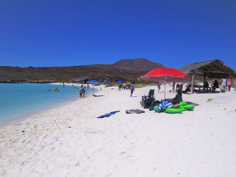 Turs y Actividades Isla Coronado Baja California Sur