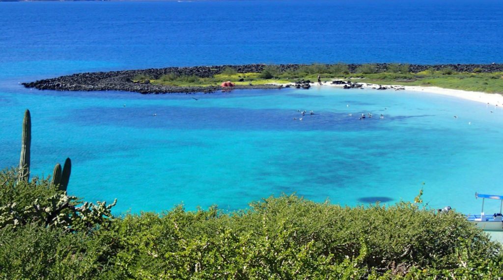 Turs y Actividades Isla Coronado Baja California Sur