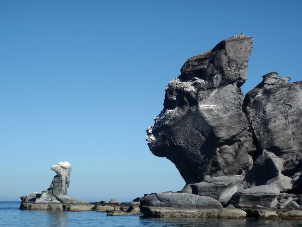 Turs y Actividades Isla Coronado Baja California Sur