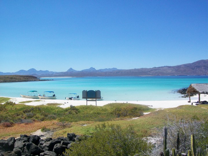 Turs y Actividades Isla Coronado Baja California Sur