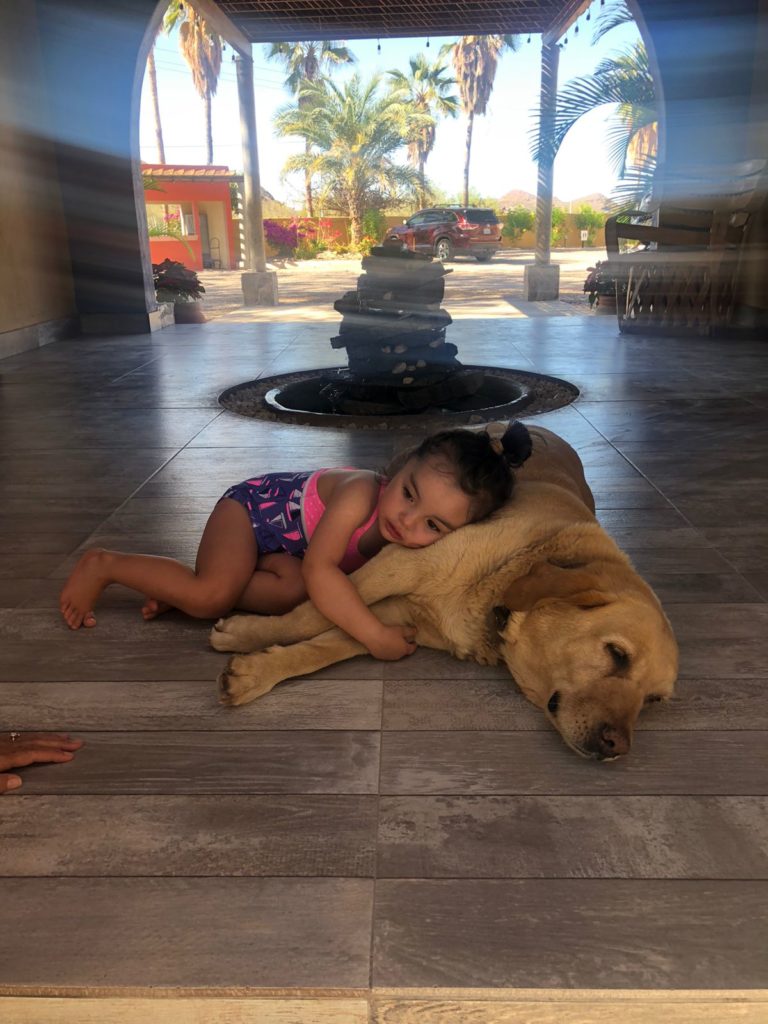 Pet Friendly Hotle Tripui Puerto Escondido Loreto Baja California Sur