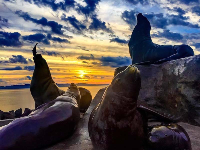Loreto Baja California Sur Hotel Tripui