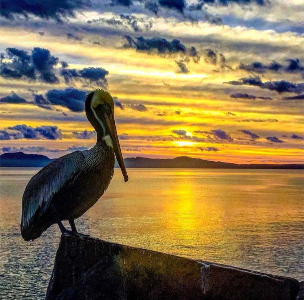 Loreto Baja California Sur Hotel Tripui