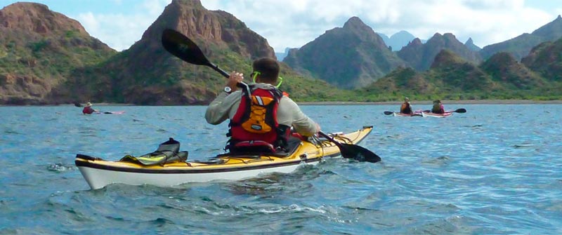 Turs y Actividades Baja California Sur